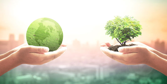 Long Lasting Vs. Ecological